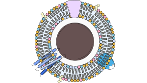 nanotechnology, bow project