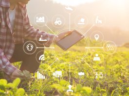digital farming, digital dairy chain