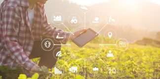 digital farming, digital dairy chain