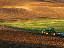 agricultural policy, bestmap project