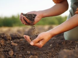 soil health
