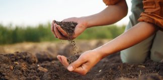 soil health