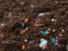 biodegradable microplastics