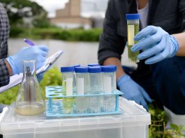 water quality improvements, wildlife and biodiversity