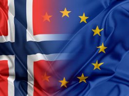 raw materials and battery value chains