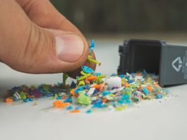 microplastics and nanoplastics