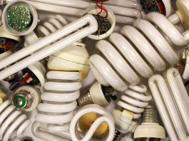 fluorescent bulbs