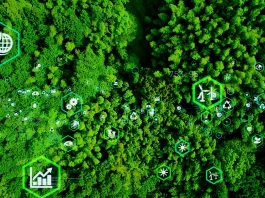 direct air carbon capture