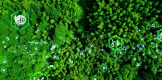 direct air carbon capture