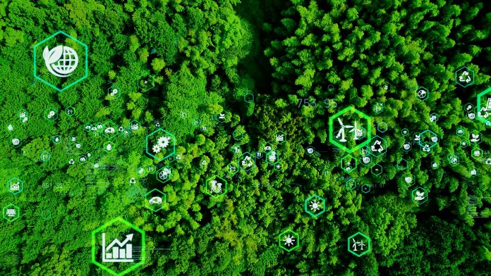 direct air carbon capture