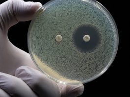 antimicrobial resistance