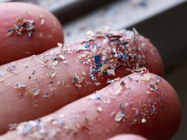 microplastics