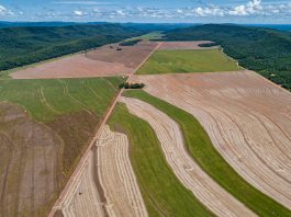 climate change. food production