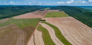 climate change. food production