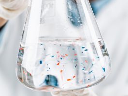 microplastic pollution