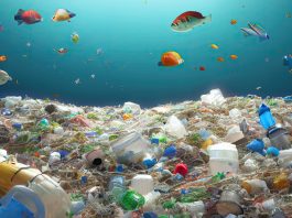plastic pollution on ocean floor