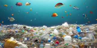 plastic pollution on ocean floor