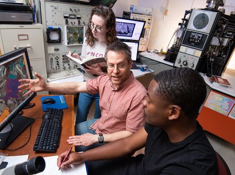 The Concord Materials and Rare Earth Element Analysis Center