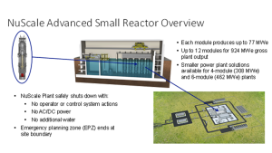 green ammonia production