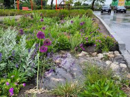 stormwater runoff
