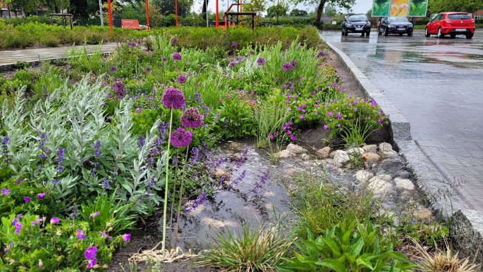 stormwater runoff