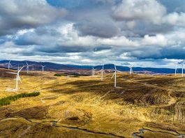 low-carbon electricity