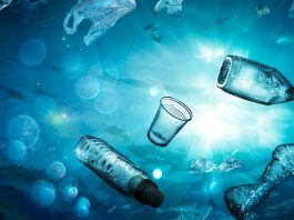 plastic pollution