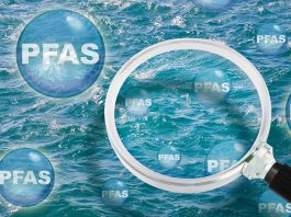 PFAS pollution in the Great Lakes