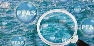 PFAS pollution in the Great Lakes