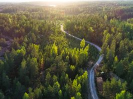 the BioReCer project is enhancing certification schemes for biological resources in Europe's forest industry