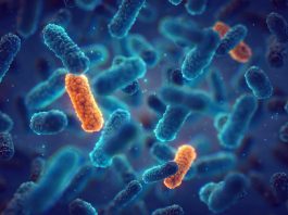 antimicrobial resistance