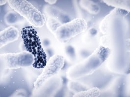 antimicrobial resistance