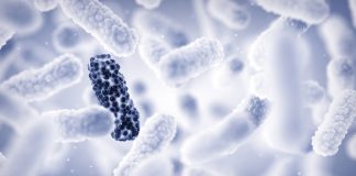 antimicrobial resistance