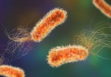 Preventing and controlling healthcare-associated infections healthcare-associated infections