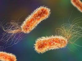 healthcare-associated infections