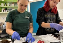 Advancing sustainable aquaculture in Canada sustainable aquaculture