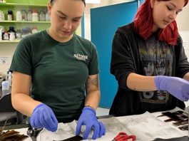 sustainable aquaculture