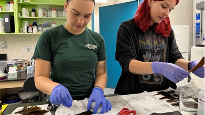 sustainable aquaculture