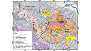 viogor zanik project