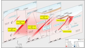 viogor zanik project