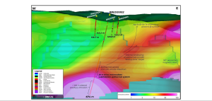 viogor zanik project