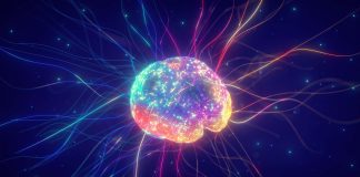 Trinity Western University hosts interactive unconference engaging faith and A.I. technology