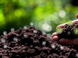 soil, printed sensors