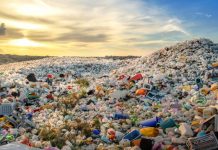 General Election 2024: Parties must adopt effective plastic waste strategies plastic waste