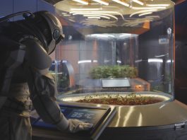 scientists have identified a desert moss that could help in colonising Mars