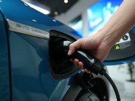 Chinese electric cars