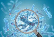 Developing new drugs for antibiotic-resistant bacteria with AI antibiotic-resistant bacteria