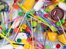single-use plastics
