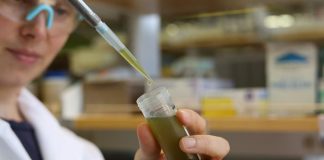 forever chemical pollution