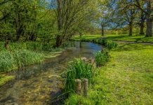 Government launches rapid review to meet environmental targets environmental targets